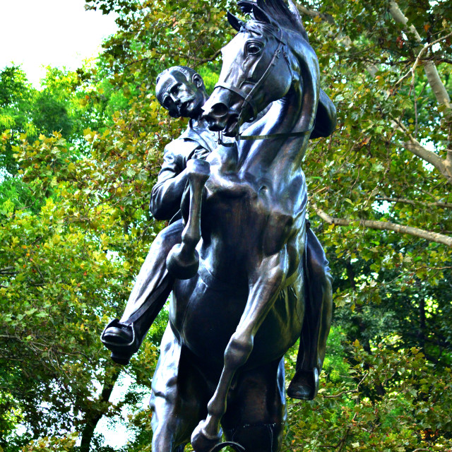 "Equestrian statue NYC" by Amit Mendelsohn - £50.00 "Equestrian statue NYC" stock image