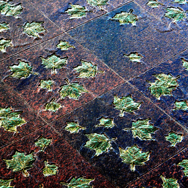 "Decorated floor tiles" by Amit Mendelsohn - £50.00 "Decorated floor tiles" stock image