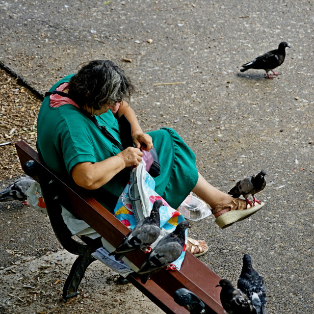 "The pigeon woman" by Amit Mendelsohn - £50.00 "The pigeon woman" stock image