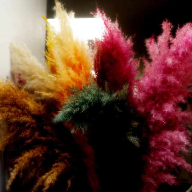 "Colours" by Amit Mendelsohn - £50.00 "Colours" stock image