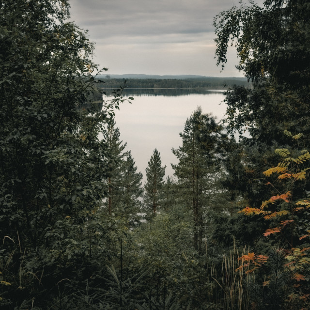 "A glimpse on the lake" stock image