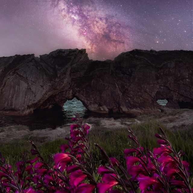 "Pink flowers under the milky way at Stair Hole, Dorset" by Kat Lawman - $37.04 "Pink flowers under the milky way at Stair Hole, Dorset" stock image