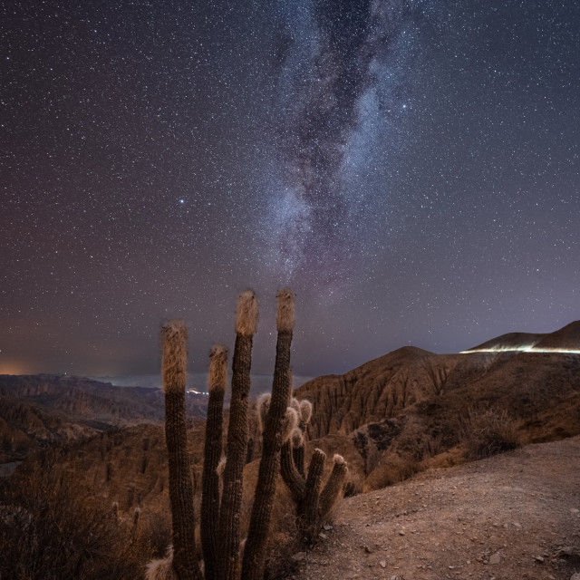 "Milky way rising over a roadside cactus, Bolivia" by Kat Lawman - $37.04 "Milky way rising over a roadside cactus, Bolivia" stock image