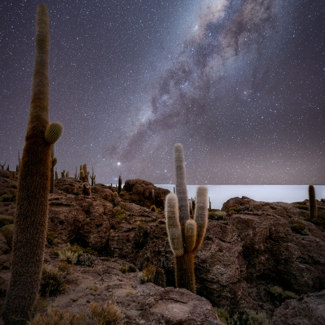 "Milky way rising over isla incahuasi, Salar de Uyuni, Bolivia" by Kat Lawman - $37.04 "Milky way rising over isla incahuasi, Salar de Uyuni, Bolivia" stock image
