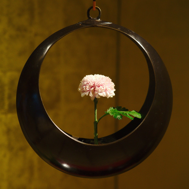 "An Ikebana Ring of Beauty" by Blue Magister - $42.84 "An Ikebana Ring of Beauty" stock image