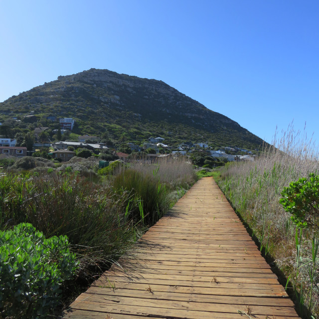 "Silvermine Wetlands" stock image