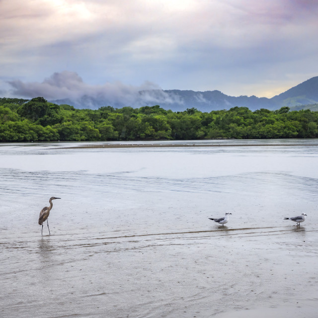 "La Mancha Lagoon III" by Expvisual Filmmaking and Photography SAS de CV - $6.27 "La Mancha Lagoon III" stock image