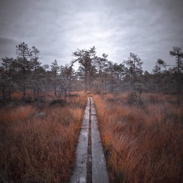 "The journey begins" stock image