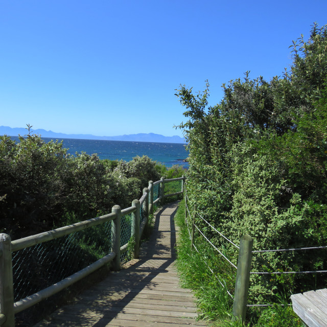 "Walkway at Boulders Beach" stock image