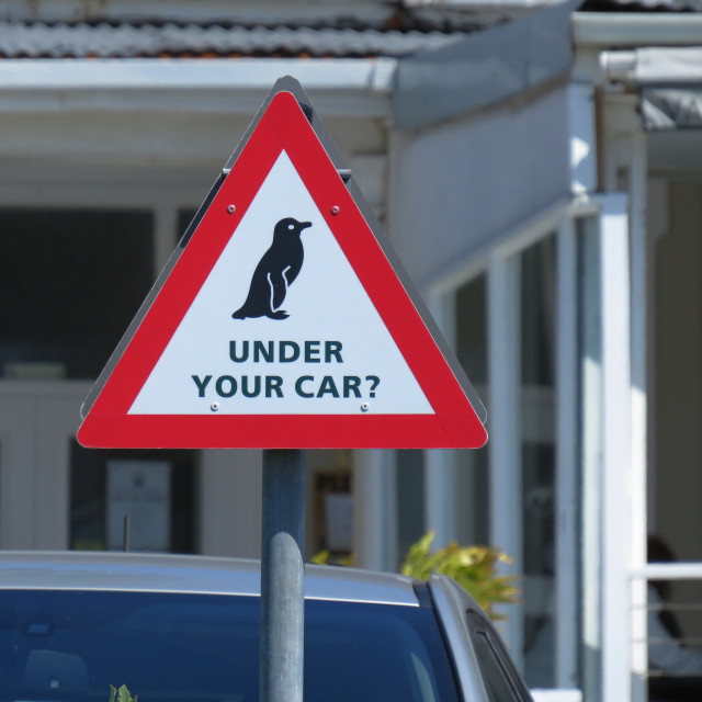 "Don't Squash the Penguines!" stock image