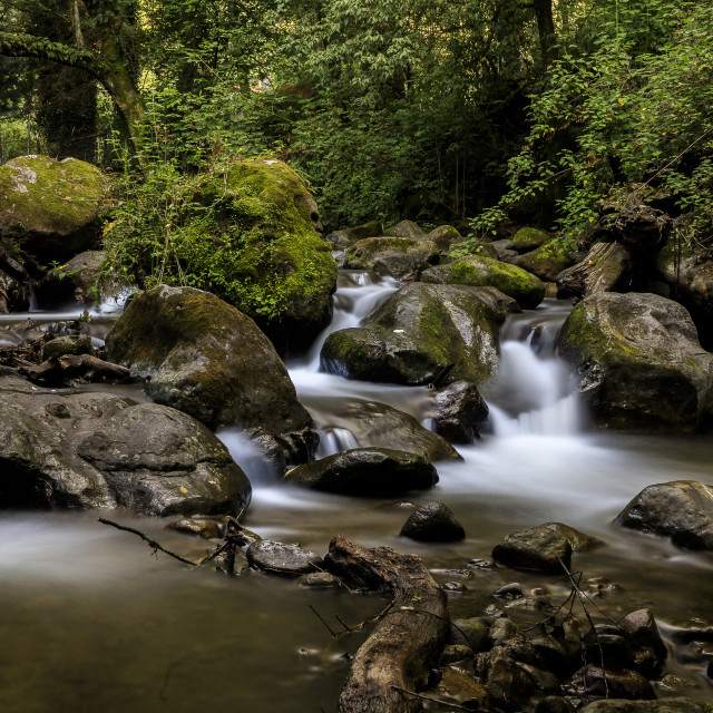 "Magdalena River in Los Dinamos National Park IV" by Expvisual Filmmaking and Photography SAS de CV - $3.76 "Magdalena River in Los Dinamos National Park IV" stock image