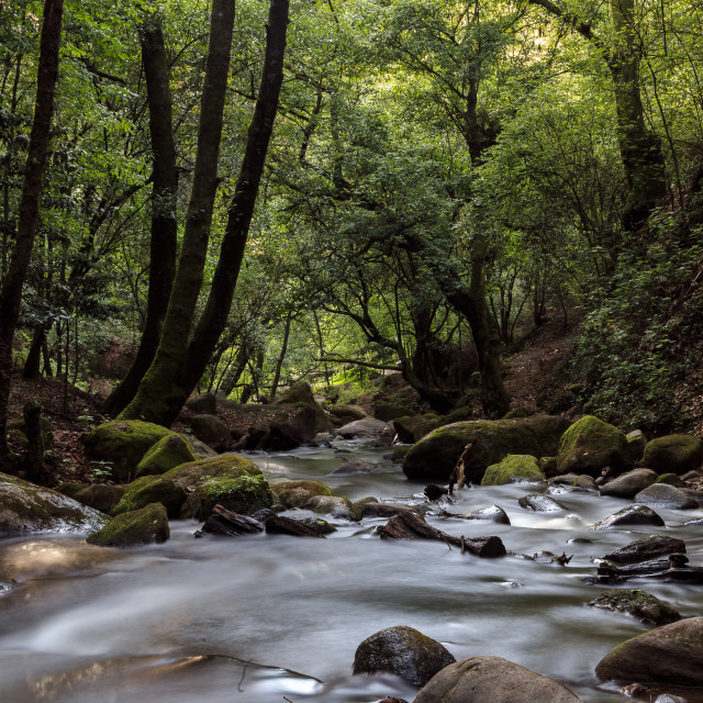 "Magdalena River in Los Dinamos National Park VIII" by Expvisual Filmmaking and Photography SAS de CV - $6.27 "Magdalena River in Los Dinamos National Park VIII" stock image