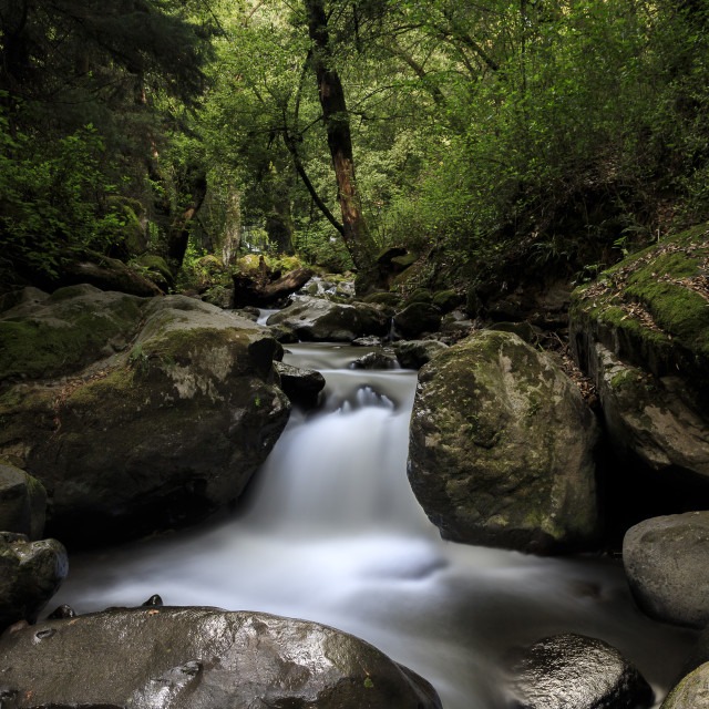 "Magdalena River in Los Dinamos National Park VII" by Expvisual Filmmaking and Photography SAS de CV - $3.76 "Magdalena River in Los Dinamos National Park VII" stock image