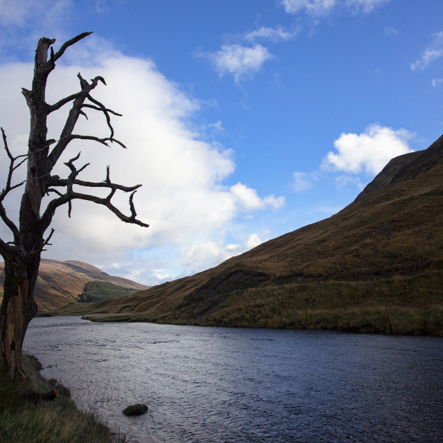 "River Meig, Strathconon, Scottish Highlands" stock image