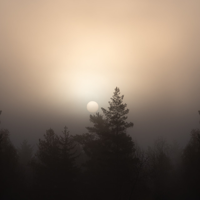 "Sun without rays rising in the foggy sky" stock image