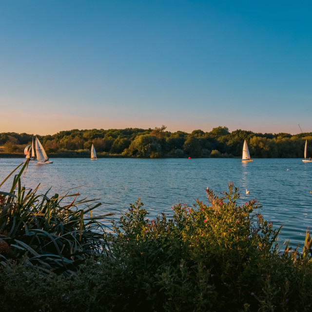 "Sailing on Brent Reservoir" stock image