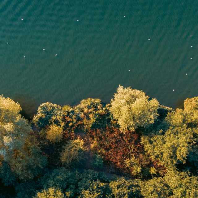 "Brent Reservoir Birds Eye View" stock image