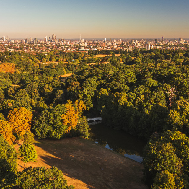 "London from Hampstead Heath Summer" stock image