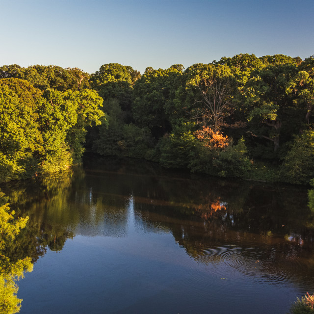 "Wood Pond Hampstead Heath" stock image