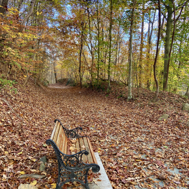 "Autumn bench- Deep River Rail trail ©️2022" by Aaron M Thompson PHOTO - $22.45 "Autumn bench- Deep River Rail trail ©️2022" stock image