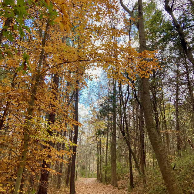 "Deep River Rail trail- Randolph County,NC ©️2022" stock image