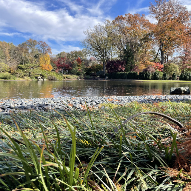 "Missouri Botanical Garden in Fall" by Allison Hawk - $12.27 "Missouri Botanical Garden in Fall" stock image