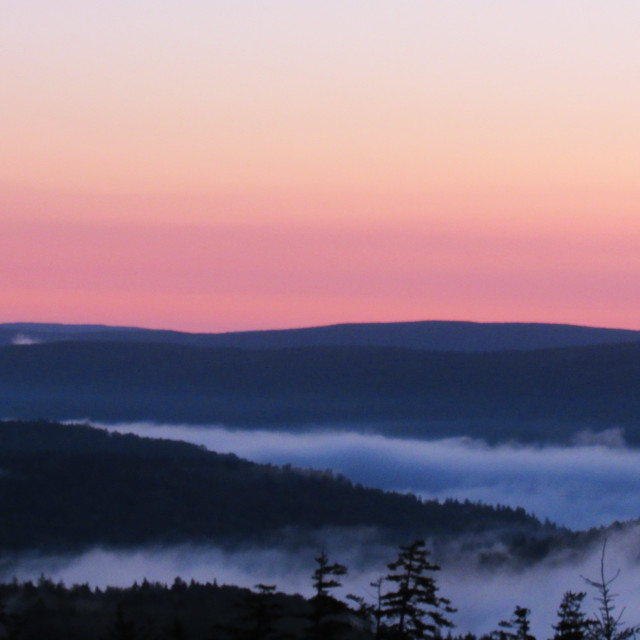 "Cotton Candy Dawn" by Allison Hawk - $26.99 "Cotton Candy Dawn" stock image