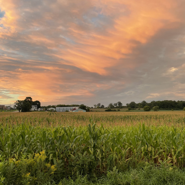 "Wisconsin Farm and Sky" by Allison Hawk - $23.31 "Wisconsin Farm and Sky" stock image