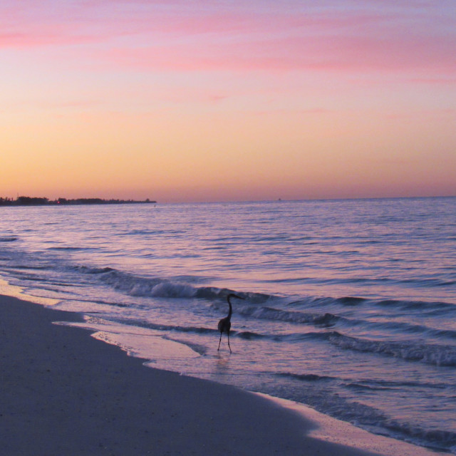 "Alone at Sunrise Anna Maria Island" by Allison Hawk - $12.27 "Alone at Sunrise Anna Maria Island" stock image