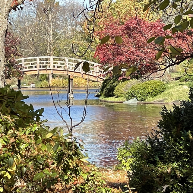"Botanical Bridge" by Allison Hawk - $12.27 "Botanical Bridge" stock image