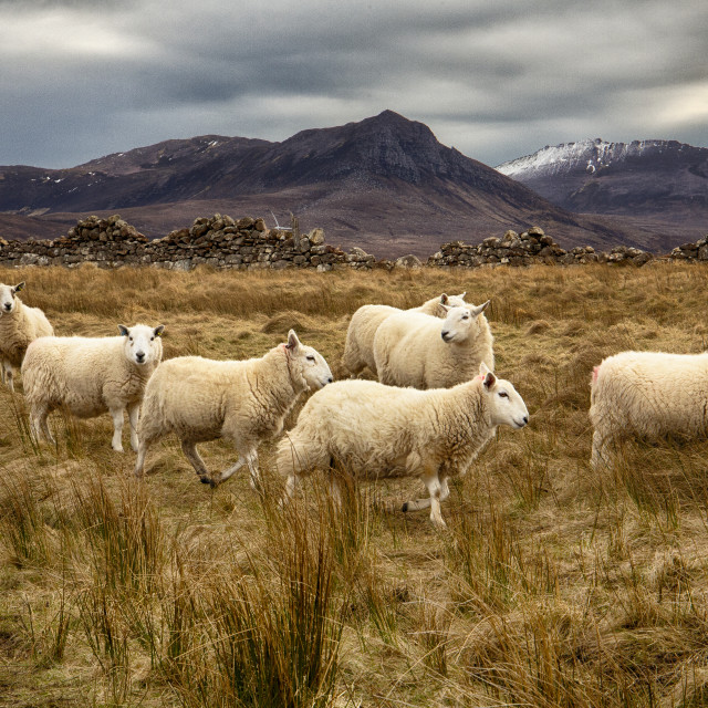 "Achiltibuie, Scottish Highlands" stock image