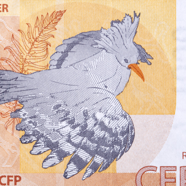 "Bird from French Pacific Territories from money" stock image
