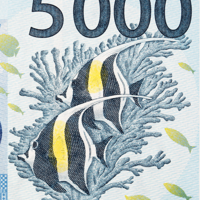 "Coralfish from French Pacific Territories money" stock image