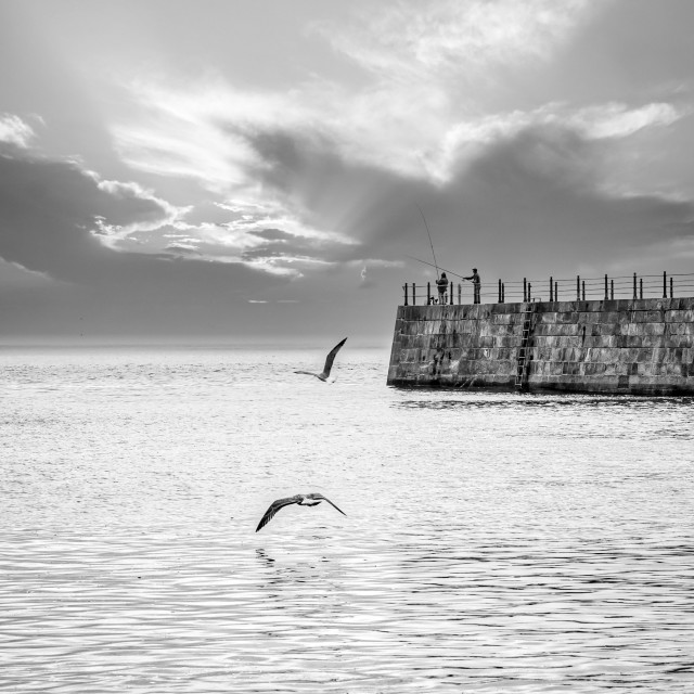 "Fishing Day | Porto" stock image