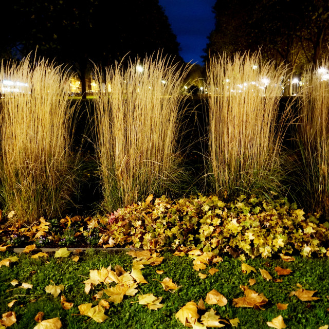 "st. quentin - Park" stock image