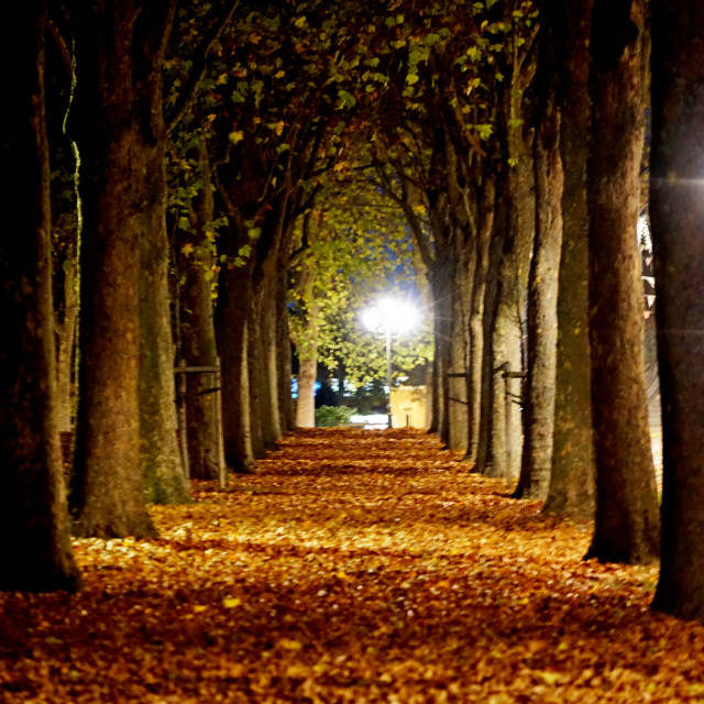 "Public park st. quentin" by Amit Mendelsohn - $59.73 "Public park st. quentin" stock image