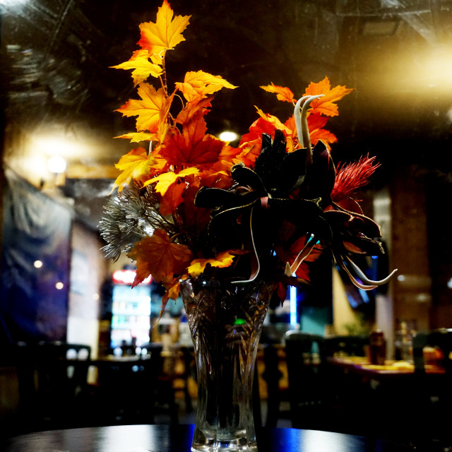 "Flowers in the night" by Amit Mendelsohn - $59.73 "Flowers in the night" stock image