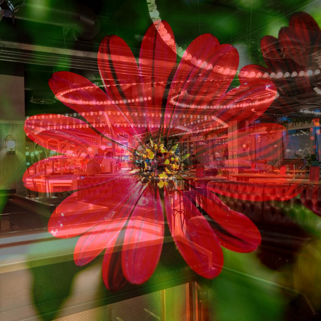 "Flower games" by Rudolf Reinbacher - $12.05 "Flower games" stock image