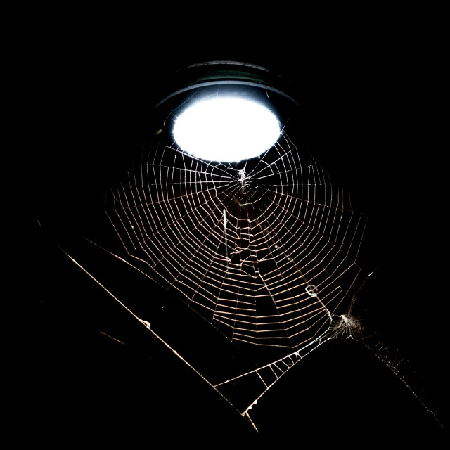 "A spider web" stock image