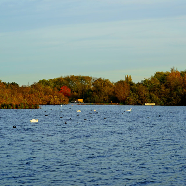 "St. Quentin lake in the Autumn" by Amit Mendelsohn - $61.39 "St. Quentin lake in the Autumn" stock image