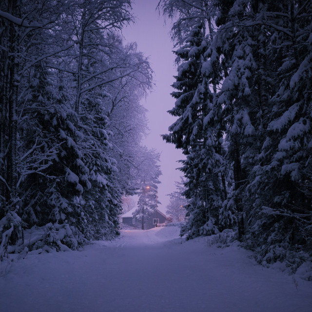 "Magical winter morning" stock image