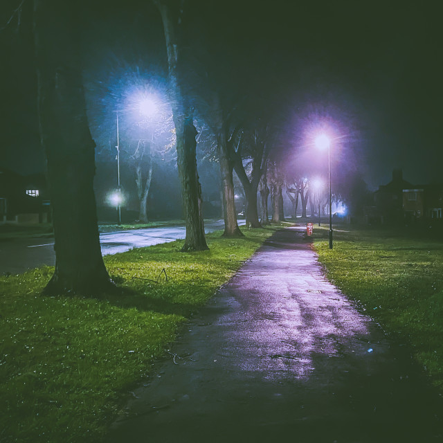 "Foggy morning" stock image