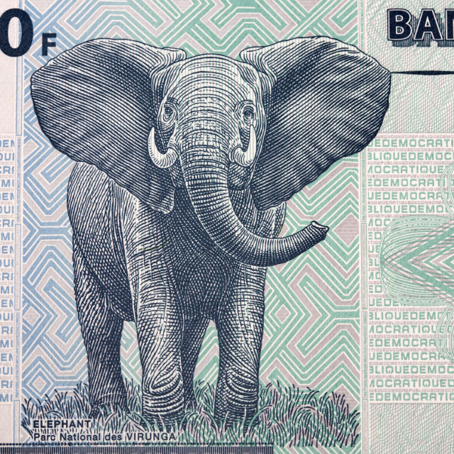"Elephant from Congolese franc" stock image