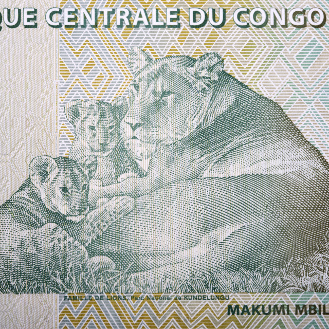 "Lioness with her cubs, Kundelongu Park from Congolese franc" stock image