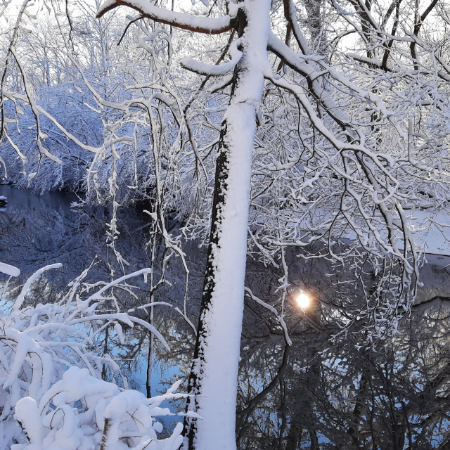 "Cub Run Winter Mirror" stock image