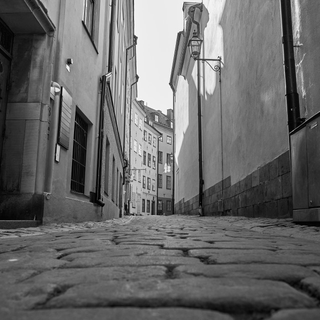 "B&W Perspective" by Carlos A Esquivel - $18.20 "B&W Perspective" stock image