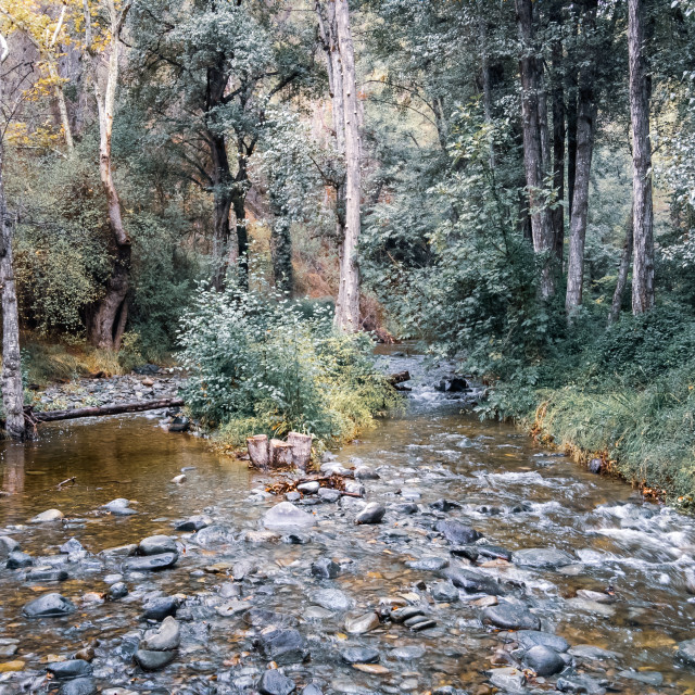 "River Diarizos by Tzelefos Bridge, Cyprus" stock image