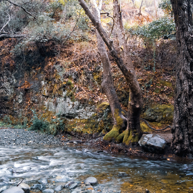 "River Diarizos by Tzelefos Bridge, Cyprus" stock image