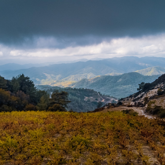 "Omodos Scenic Vineyard Road Drone View Cloudy" stock image