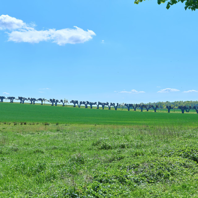 "The next Windows Desktop image" by Carlos A Esquivel - $24.26 "The next Windows Desktop image" stock image